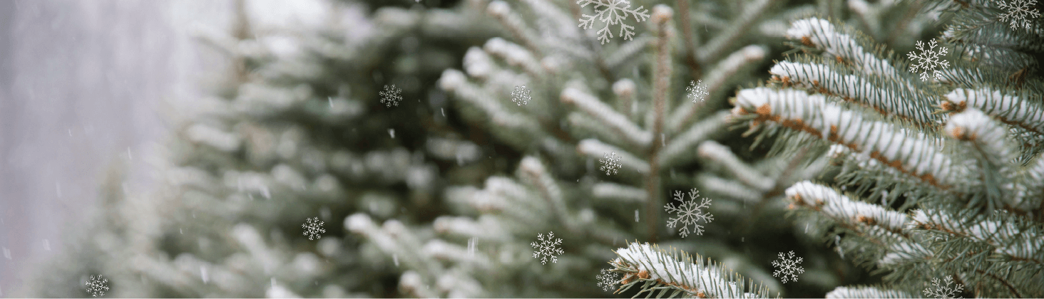 WBI Holiday 2025 - 3