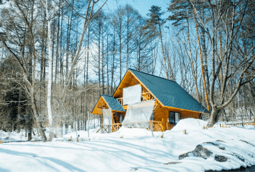 Cabins and rural builds